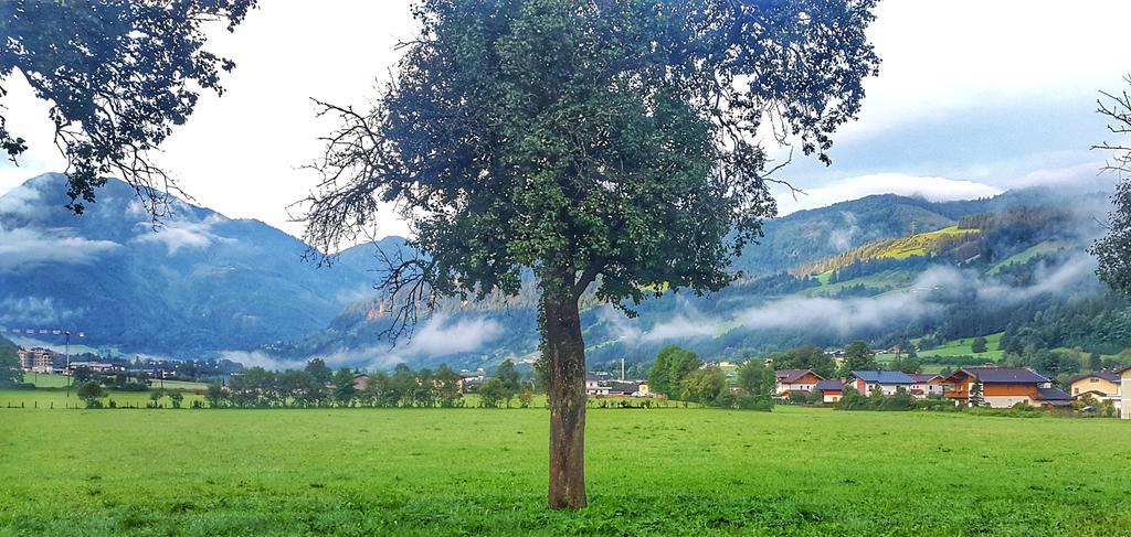 فيلا Urlaub Am Bauernhof Rothof سانكت يوهان ايم بونغ المظهر الخارجي الصورة